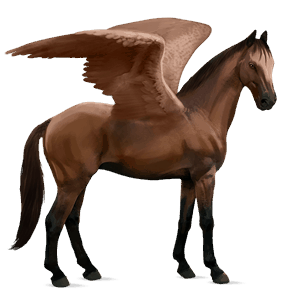ratsupegasos ranskanpuoliverinen ruunikko