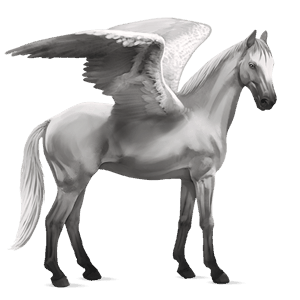 ratsupegasos trakehner vaaleankimo