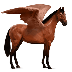 ratsupegasos lipizzanhevonen tummanruunikko