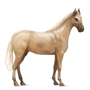 ratsuhevonen irish hunter palomino