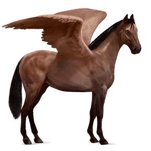 ratsupegasos tennesseenwalker ruunikko