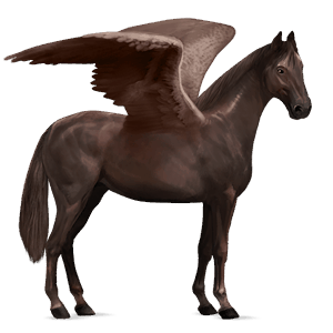 ratsupegasos quarterhevonen sysirautias