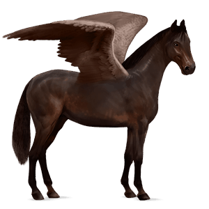 ratsupegasos tummanruunikko