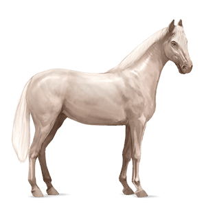 poni tummanruunikko