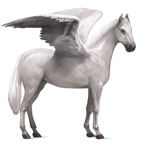 kylmäverinen pegasos vaaleankimo