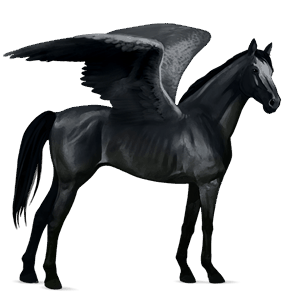 ratsupegasos harmaa