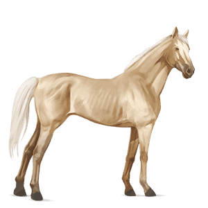 ratsuhevonen englannintäysverinen palomino