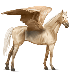 ratsupegasos palomino