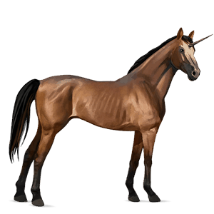 ratsuyksisarvinen appaloosa ruunikko, loimikuvio