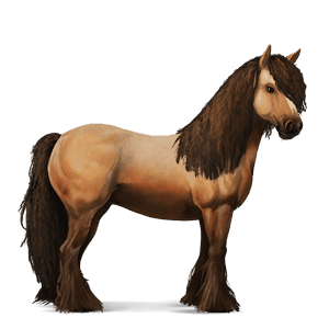 ratsuhevonen irlannincob palomino