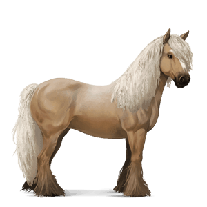 ratsuhevonen paint-hevonen sysirautias, tobiano
