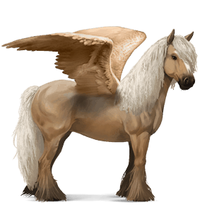 ratsupegasos irlannincob voikko, tobiano