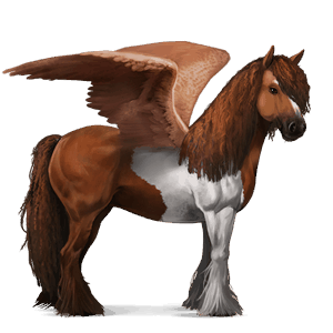 ratsupegasos irlannincob rautias, tobiano