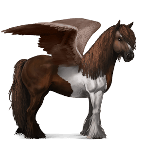 ratsupegasos hallakko, tobiano