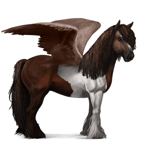 ratsupegasos tummanruunikko, tobiano