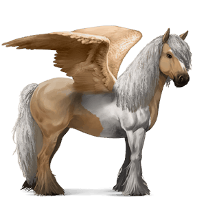 ratsupegasos voikko, tobiano