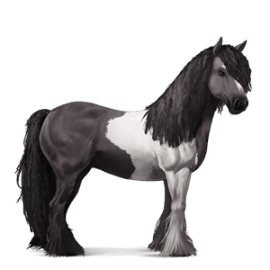 kylmäverinen hevonen percheron papurikkotäpläinen kimo