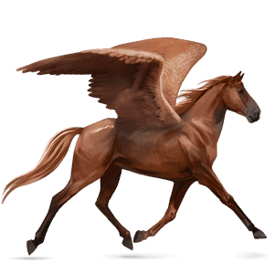 ratsupegasos tummanruunikko