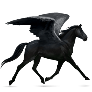 ratsupegasos suomenhevonen musta