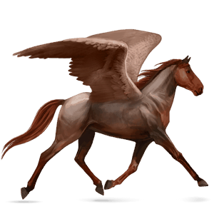 ratsupegasos lipizzanhevonen papurikkotäpläinen kimo
