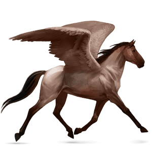 ratsupegasos vaaleankimo