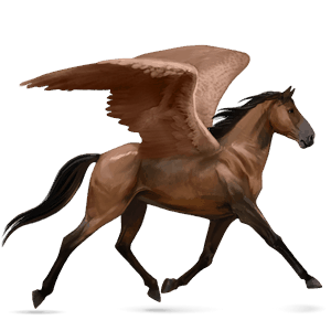 ratsupegasos ruunikko
