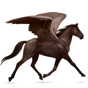 ratsupegasos ranskanravuri sysirautias