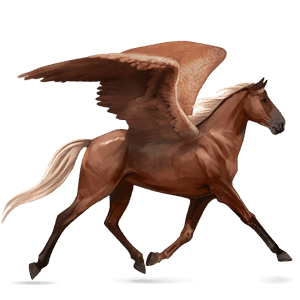 ratsupegasos ranskanravuri rautias
