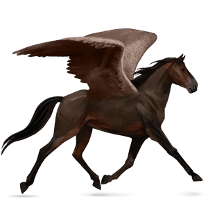 ratsupegasos ranskanravuri tummanruunikko