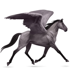 ratsupegasos lipizzanhevonen vaaleankimo
