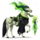 poni paha noita