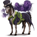 poni newfoundlandinponi rautias