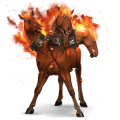 poni newforestinponi vaaleankimo