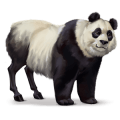 villihevonen panda