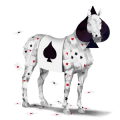poni haflingerinhevonen liinakko