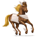 poni belgian ratsuponi tummanruunikko