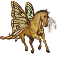 poni connemaranponi tummanruunikko