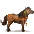 ratsupegasos hallakko, overo