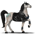ratsuhevonen american bashkir curly voikko, tobiano