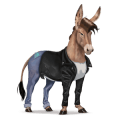 poni newfoundlandinponi rautias