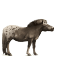 ratsuhevonen irish hunter tummanruunikko
