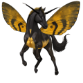poni shetlanninponi musta