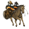 pegasosponi vuonohevonen hallakko