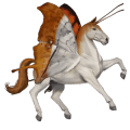 ratsuhevonen lipizzanhevonen vaaleankimo