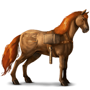 poni connemaranponi palomino