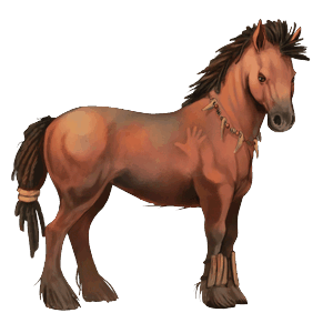 poni shetlanninponi ruunikko