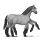 kimo-sleipnir