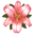 heran lilja