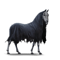 ratsupegasos mors