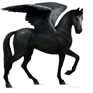 ratsupegasos akhaltekinhevonen palomino